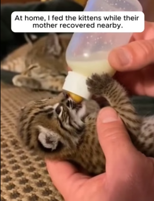 F0704012 The Family He Saved Came Back to Protect Him (Part 2)