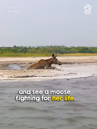 I0704002 Robert Downey Jr. found the real-life Avenger in a trash can. (Part 2)