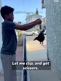 I0704001 He treated the scared crow like it was family 🥹❤️ (Part 2)