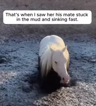 P0104010 Keanu Reeves would be the first to jump in this river. (Part 2)