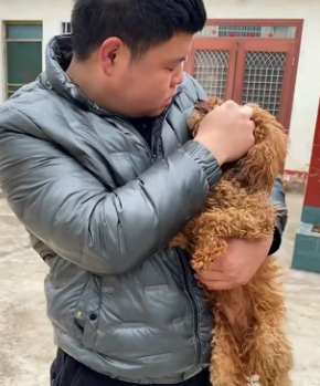 A0704005 dog begs help on truck being taken to dog meat restaurant (Part 2)