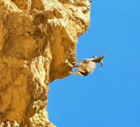 A0704001 Siberian Goat Extreme Escape (Part 2)