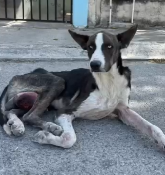 M0704012 Rescatando Capitán (Part 2)