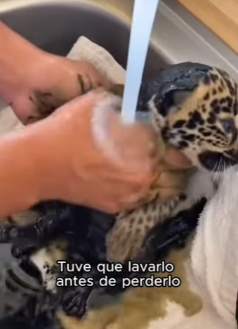 V0104005 El final por el que Miley Cyrus rezaba. (Part 2)