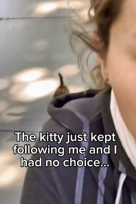 F1403007 Cheating Ex and A kitty Surprise Real animal rescues that cross borders(Part 2)