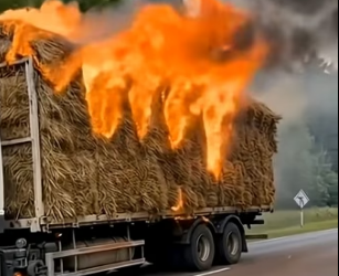 Y0505011 Puppy Trapped on Burning Truck Mom Dog Did Impossible (Part 2)