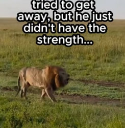R1105011 We spend our lives looking for meaning. Sometimes, meaning is found in a muddy ditch (Part 2)