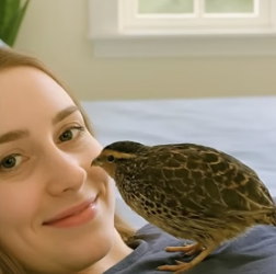 V1105001 Woman saved tiny Quail chick then..(Part 2)