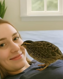 V1105001 Woman saved tiny Quail chick then..(Part 2)