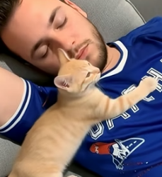 V1105005 Cats love to sleep owners (Part 2)