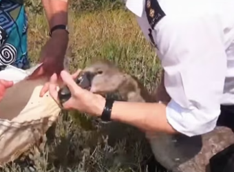 M2904013 Hooked Horror heart stopping rescue of lakeside beauty! (Part 2)