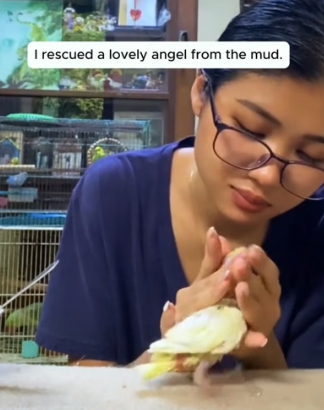 H1403012 I rescued a lovely angel from the mud (Part 2)