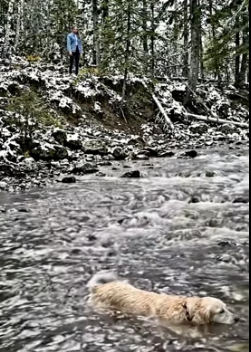 Y1505009 Dog Thrown to Die � But Then THIS Happened (Part 2)