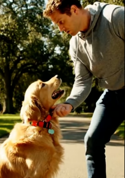 Y1505011 Heroic Dog Rescues Elderly Man (Part 2)