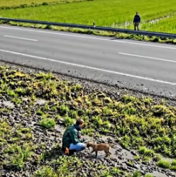 Y1505018 Puppy � Was Terrified On The Highway (Part 2)