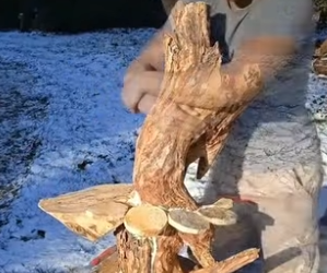 A1805010 pov_ you find a baby squirrel falling from his nest over and over in the snow and you just can’t (Part 2)