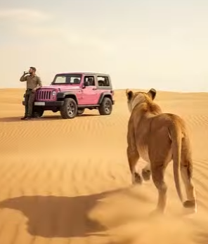 A1805007 A Mother Lion’s Desperate Plea in the Burning Desert 🦁🏜️ (Part 2)