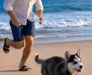 A1805002 Brave Puppy Leads Man to Rescue Trapped Mother Dog (Part 2)