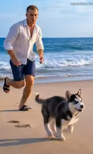 A1805002 Brave Puppy Leads Man to Rescue Trapped Mother Dog (Part 2)