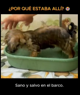 R2005009 No podía creer lo que veían mis ojos en medio del río. Este pequeño guerrero nos enseñó hoy lo que (Part 2)