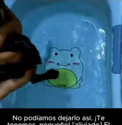 R2005008 No podía creer lo que mis ojos veían en ese río. Estaba a segundos de una tragedia (Part 2)