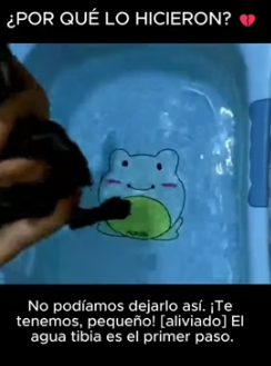 R2005008 No podía creer lo que mis ojos veían en ese río. Estaba a segundos de una tragedia (Part 2)