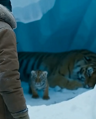 P0305006 I saved a tiger and its cub 🥹😭🙏 (Part 2)