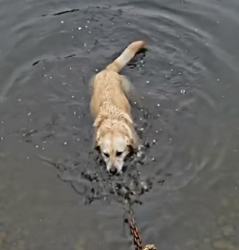 Y1805016 They Left� Him to Die in the Pond Emotional rescue (Part 2)