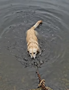Y1805016 They Left� Him to Die in the Pond Emotional rescue (Part 2)
