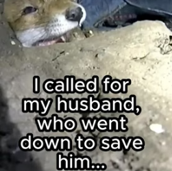 G2105014 Animals need hope (Part 2)