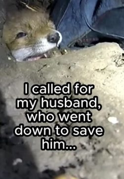 G2105014 Animals need hope (Part 2)