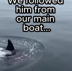 G2105010 Animals understand everything ❤️(Part 2)
