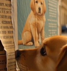 Y2105017 He Saw His Own Missing Poster… What Happened Next Will Melt Your Heart (Part 2)