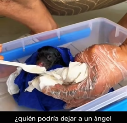 R2205004 la encontré en el peor lugar, pero miren en lo que se convirtió… el amor hace milagros (Part 2)