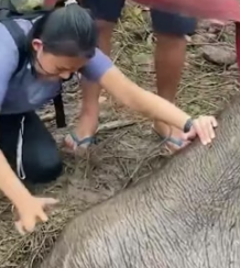 T2105002 Neglect strips away their personality. Kindness brings the unique soul back to the surface (Part 2)