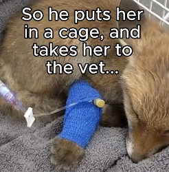 T2105016 Animals are sentient too ❤️ (Part 2)