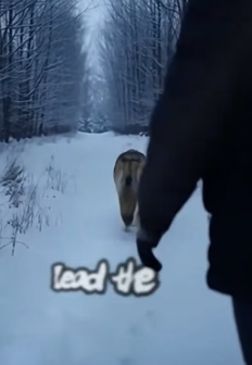 F2205008 I helped a #wolf rescue her pup-see what happens next (Part 2)