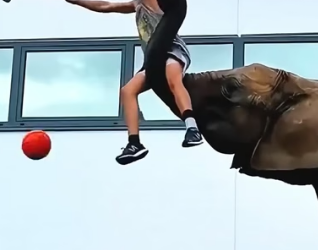 H2105015 A young man rescued an elephant in need and formed a friendship that lasted for years. �❤️✨ (Part 2)