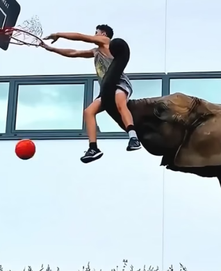 H2105015 A young man rescued an elephant in need and formed a friendship that lasted for years. �❤️✨ (Part 2)