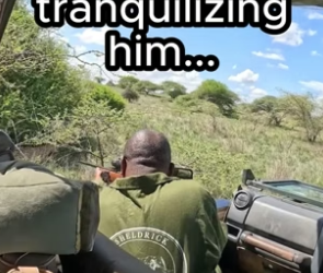 G2405002 Body language never lies. Watch the transformation (Part 2)