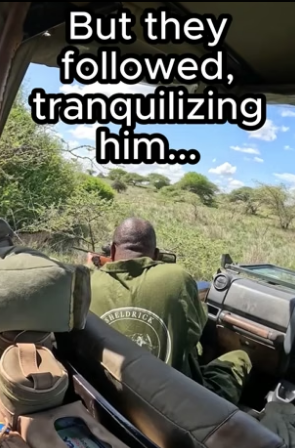 G2405002 Body language never lies. Watch the transformation (Part 2)