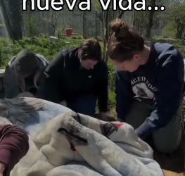 Animales tienen sentimientos (Part 2)