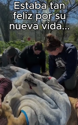 Animales tienen sentimientos (Part 2)