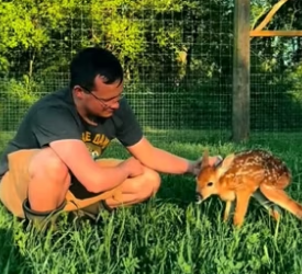 Would you like to have a friend like this_ Deer Story (Part 2)