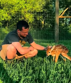 Would you like to have a friend like this_ Deer Story (Part 2)