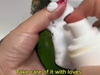 W0205012 Kindness is the only thing that doubles every time you share it (Part 2)