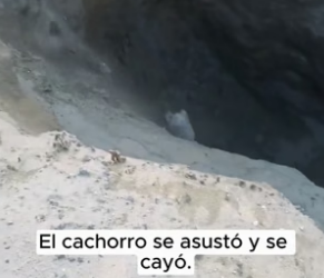 R1603001 A small white dog fell into a deep well and its fate seemed uncertain (Part 2)