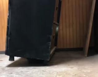 M0205011 groundhog showed up like he late work (Part 2)