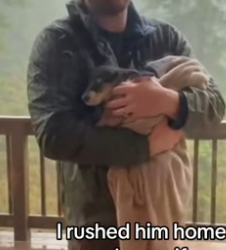 F2605003 I saved a wolf pup (Part 2)