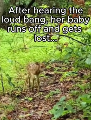G2605010 Animals deserve better (Part 2)